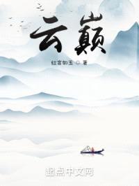 云巅封面