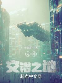 光暗交错之地封面