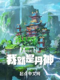 我就是丹神封面