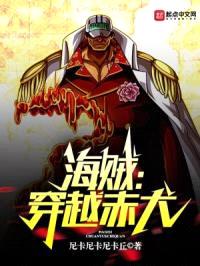 海贼：穿越赤犬封面