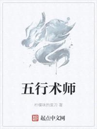 五行术师封面