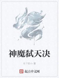 神魔弑天决封面