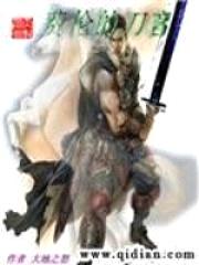 费伦的刀客封面