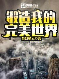 锻造我的完美世界封面