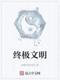 终极文明封面