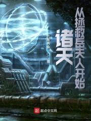 诸天从拯救岳夫人开始封面