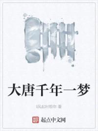 大唐千年一梦封面