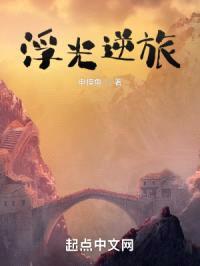 浮光逆旅封面