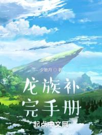 龙族补完手册封面
