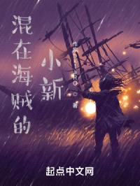 混在海贼的小新封面