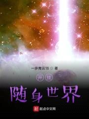 开挂随身世界封面