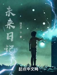 未来日记封面