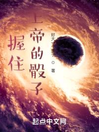 握住上帝的骰子封面