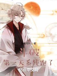 斗破，第一天系统跑了封面