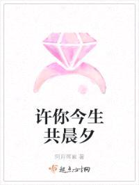 许你今生共晨夕封面