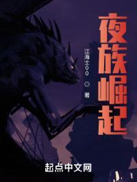 夜族崛起封面
