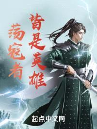 荡寇者皆是英雄封面