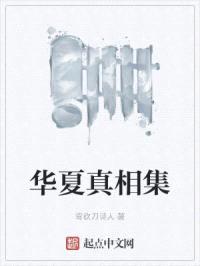 华夏真相集封面