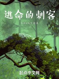 逃命的刺客封面