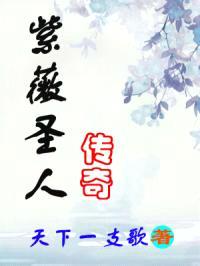 紫薇圣人传奇封面