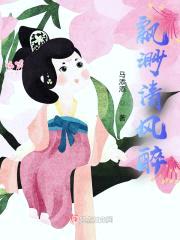 飘渺清风醉封面