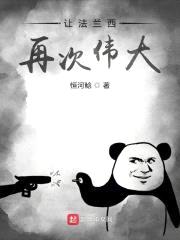 让法兰西再次伟大封面