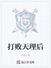 打败天理后封面