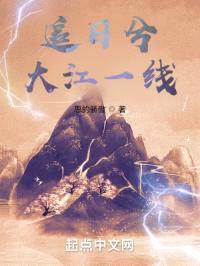 追日兮大江一线封面