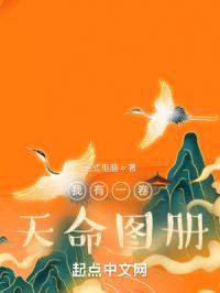 我有一卷天命图册封面