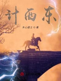 计西东封面