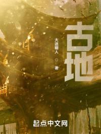 天书大陆传封面