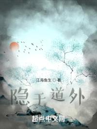 隐于道外封面