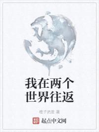 我在两个世界往返封面