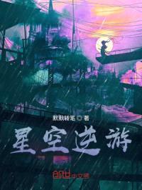 星空逆游封面
