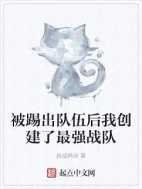 被踢出队伍后我创建了最强战队封面